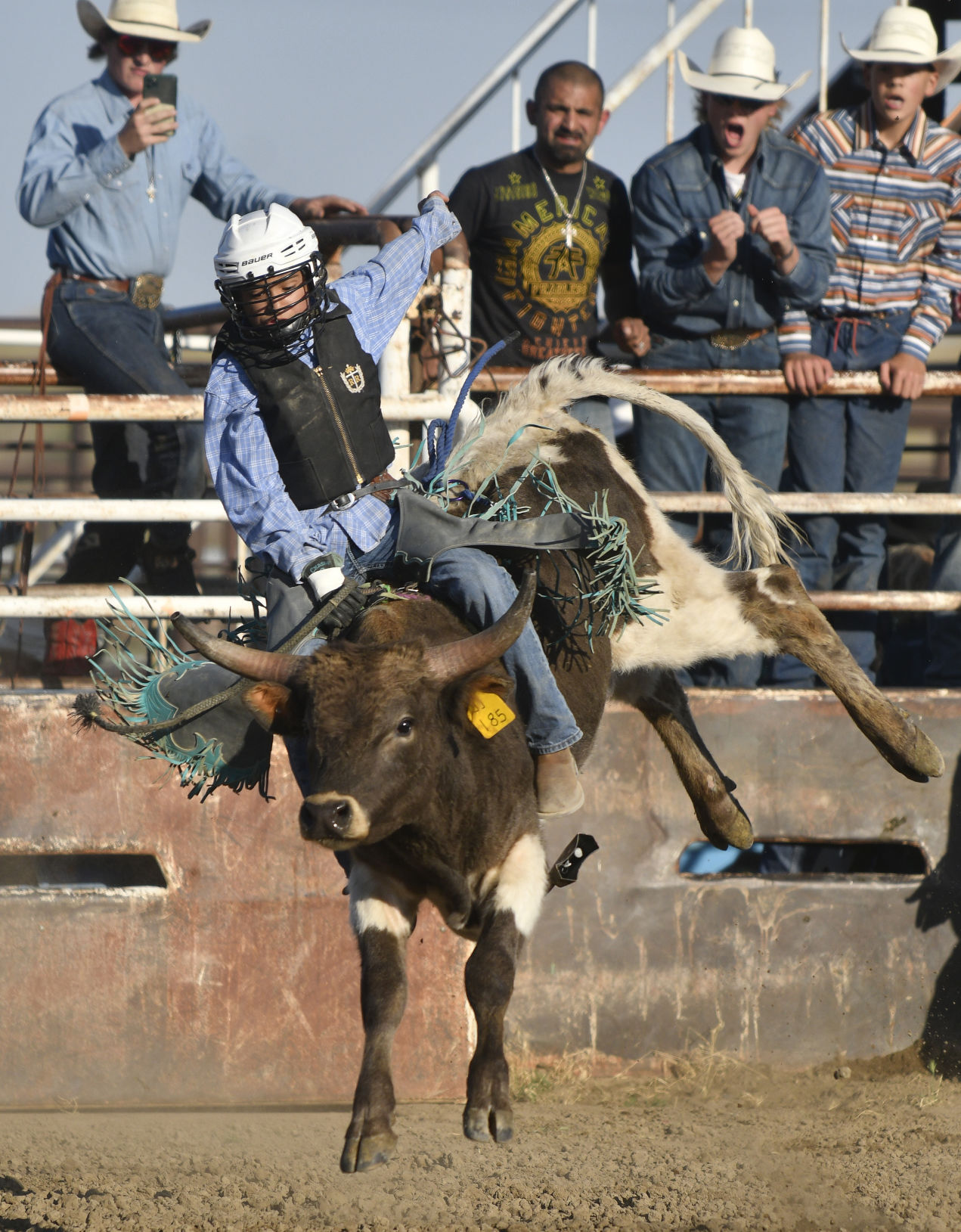 Lincoln County Mini Bull Riding